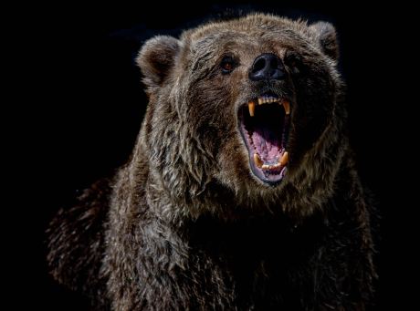 bitcoin-nvt-shows-bearish-crossover,-price-drop-incoming?
