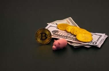 bank-of-canada-study-shows-crypto-ownership-in-the-country-fell-in-the-last-2-years