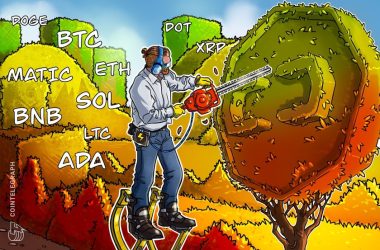 price-analysis-8/4:-btc,-eth,-bnb,-xrp,-doge,-ada,-sol,-matic,-ltc,-dot