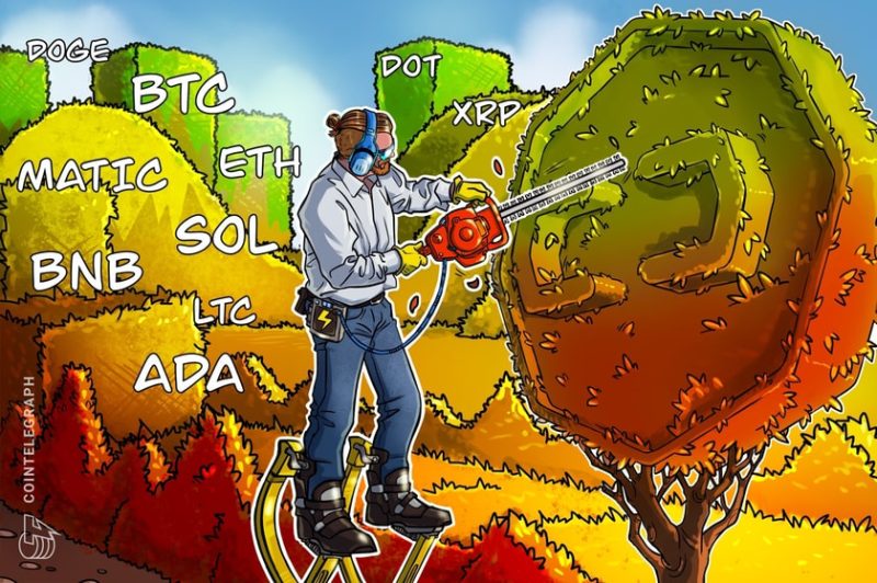 price-analysis-8/4:-btc,-eth,-bnb,-xrp,-doge,-ada,-sol,-matic,-ltc,-dot