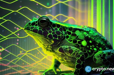 binance’s-stablecoin-fdusd-and-digitoads-attracting-investors