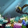 price-analysis-8/9:-btc,-eth,-bnb,-xrp,-doge,-ada,-sol,-matic,-ltc,-dot