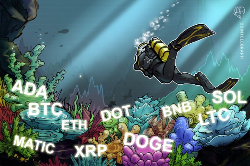 price-analysis-8/9:-btc,-eth,-bnb,-xrp,-doge,-ada,-sol,-matic,-ltc,-dot