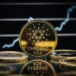 cardano-(ada)-next-in-line-for-a-rally-following-shark-and-whale-buying-spree