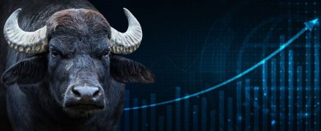 cardano-q2-surge:-stablecoin-soars,-tvl-skyrockets,-and-dapp-transactions-hit-record-highs