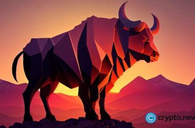 hex-founder-sued,-pulse-falls-as-qube-surge-in-ongoing-presale