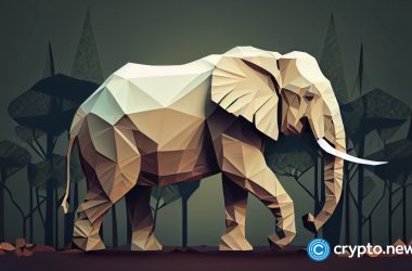india-probes-betting-platforms-for-crypto-tax-evasion