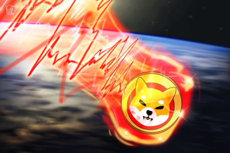 shib,-bone,-leash-tokens-dip-amid-rumors-of-$2.5m-shibarium-gaffe