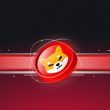 shiba-inu-price-shows-resilience-as-shibarium-reboots:-shib-price-targets