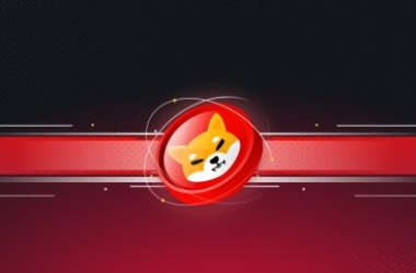 shiba-inu-price-shows-resilience-as-shibarium-reboots:-shib-price-targets