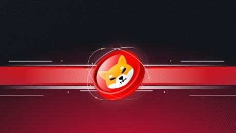 shiba-inu-price-shows-resilience-as-shibarium-reboots:-shib-price-targets
