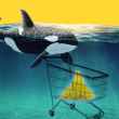 shiba-inu-whale-transfers-4.6-trillion-tokens-after-a-24-hour-safekeeping