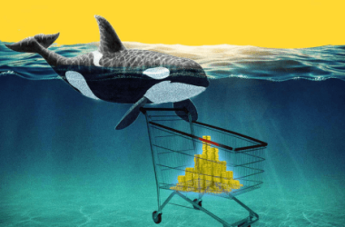 shiba-inu-whale-transfers-4.6-trillion-tokens-after-a-24-hour-safekeeping