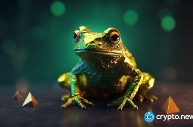 coinbase-lists-sei;-toads-soars-450%-as-digitoads-supporters-look-at-binance-for-support