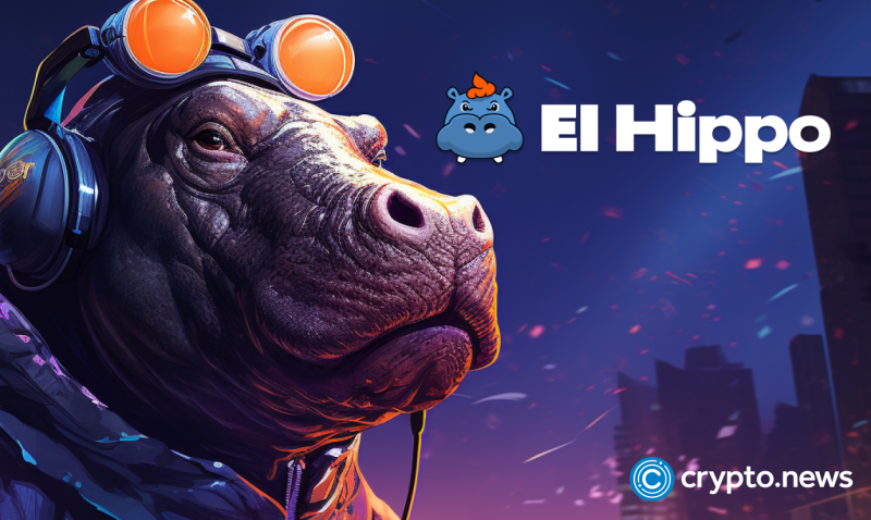 shibarium,-cat-rising-as-meme-coins-plunge,-investors-exploring-hipp