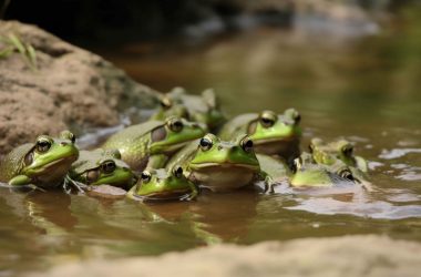 pepe-continues-to-slide:-trillions-of-tokens-sent-to-exchanges