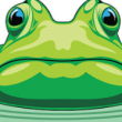 pepe-token-tumbles-20%-amid-suspicious-activity-–-details