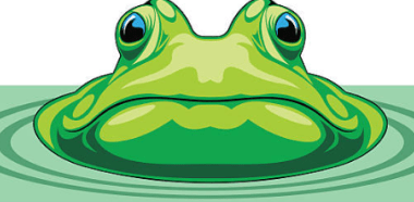 pepe-token-tumbles-20%-amid-suspicious-activity-–-details