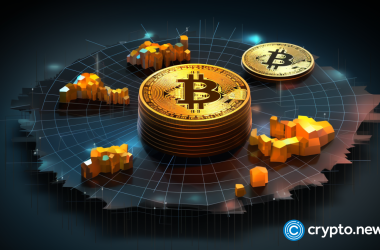 meet-the-whales:-bitcoin’s-biggest-holders-and-their-market-influence