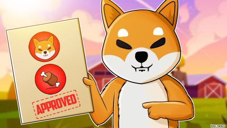 shibarium-launch-proves-positive-as-shiba-inu-based-bone-celebrates-new-milestone