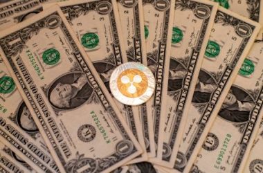 large-transactions-put-xrp-price-under-pressure:-are-whales-making-an-exit?