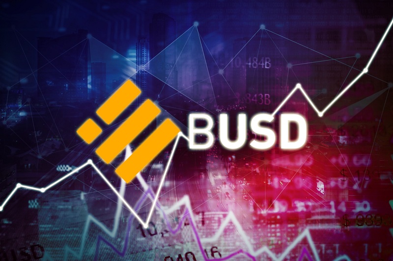 first-digital-usd-(fdusd)-reaps-big-as-binance-cease-busd-support