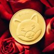 on-chain-sleuth-potentially-unveils-shiba-inu-founder-with-shocking-affiliates