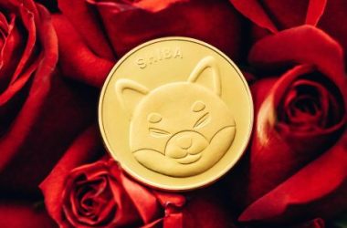 on-chain-sleuth-potentially-unveils-shiba-inu-founder-with-shocking-affiliates