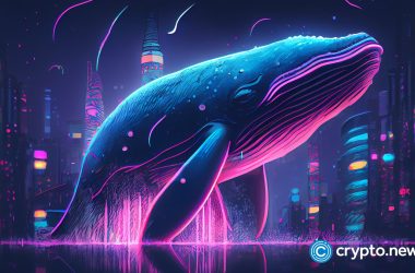 whale-alert-sparks-speculation-as-xrp-transfers-surge