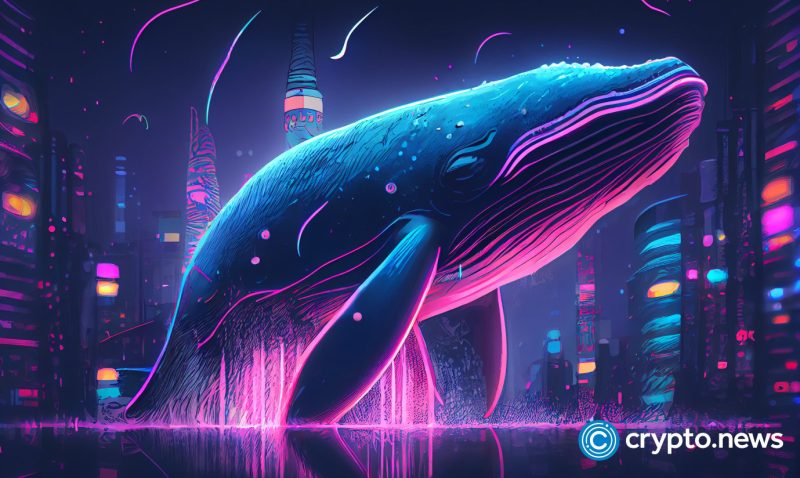 whale-alert-sparks-speculation-as-xrp-transfers-surge