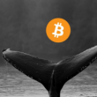 bitcoin-whales-load-up-with-$1.5-billion-worth-of-btc-amidst-price-uncertainty