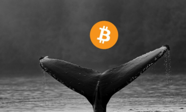 bitcoin-whales-load-up-with-$1.5-billion-worth-of-btc-amidst-price-uncertainty