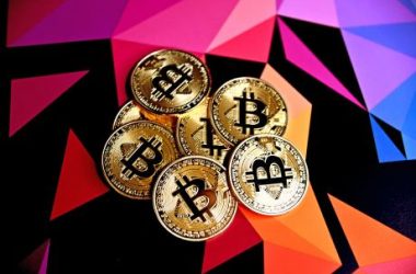 bitcoin-hodler-dominance-rises-to-record-levels,-bullish-sign?