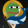 pepe-coin-fall-from-grace:-what’s-turning-the-whales-away?