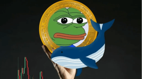 pepe-coin-fall-from-grace:-what’s-turning-the-whales-away?