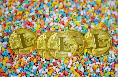 litecoin-breaks-another-record:-hodlers-on-network-now-exceed-5-million