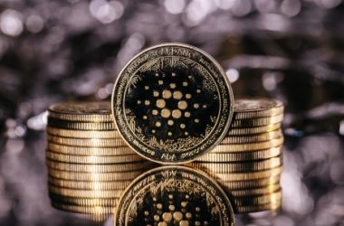 cardano-whales-sell-1.02-billion-ada,-more-pain-ahead?