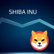 shiba-inu-tallies-77%-accumulation-by-major-investors-–-good-for-shib-price?