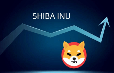 shiba-inu-tallies-77%-accumulation-by-major-investors-–-good-for-shib-price?