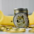 dogecoin-poised-for-a-150%-surge?-key-price-levels-to-watch