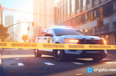 teenage-crypto-hacker-to-return-$5.2m-and-forfeited-sports-car