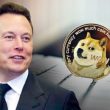 elon-musk’s-biography-just-dropped:-here-are-important-excerpts-about-dogecoin