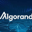algorand-(algo)-may-have-a-chance-at-a-bullish-streak-–-here’s-how