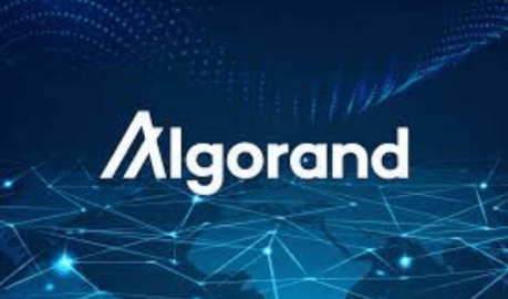algorand-(algo)-may-have-a-chance-at-a-bullish-streak-–-here’s-how