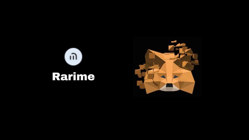 rarime-launches:-metamask-snap-for-seamless-digital-identity-management