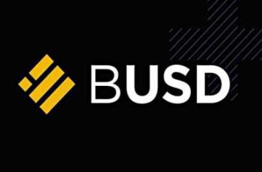 bye-bye-birdie:-binance-begins-process-of-axing-busd-stablecoin
