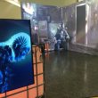 magic-eden-adds-support-for-solana-powered-compressed-nfts 