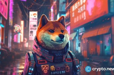 shib-burn-rate-pops-350%-in-24-hours