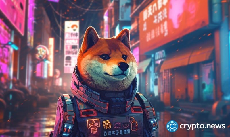 shib-burn-rate-pops-350%-in-24-hours