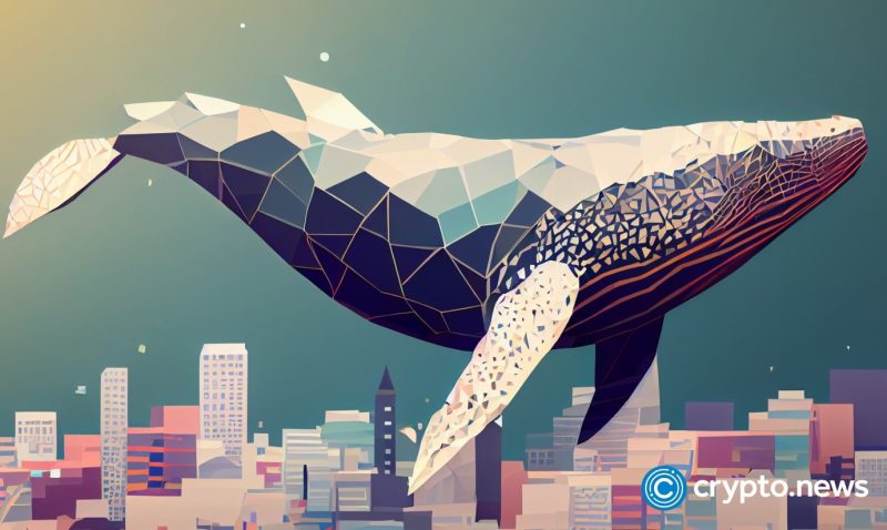 xrp-keeps-rising-as-whale-moves-$213m-all-at-once